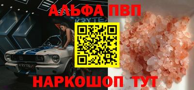 спиды Гай
