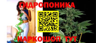 спиды Гай