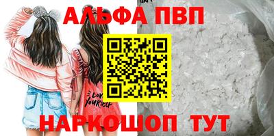 спиды Гай