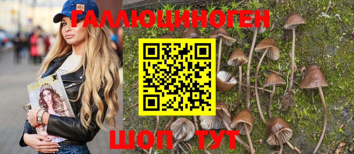 Галлюциногенные грибы Magic Shrooms  Вход с VPN  Михайловск 